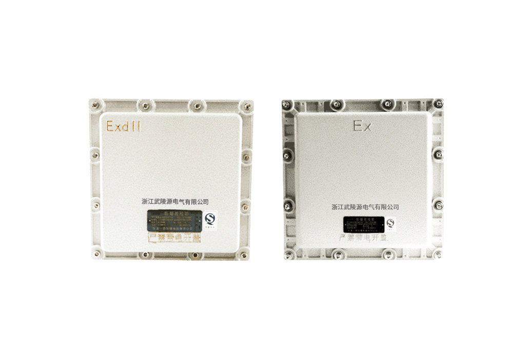 防爆接线箱-d