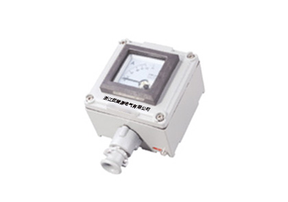 BYB58系列防爆仪表(IIB、IIC、e)