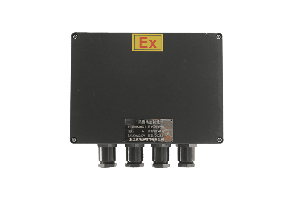 防爆防腐接线箱运维手册：故障排查与防护性能保养
